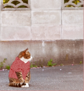 ネココラファッション　猫コラージュ
